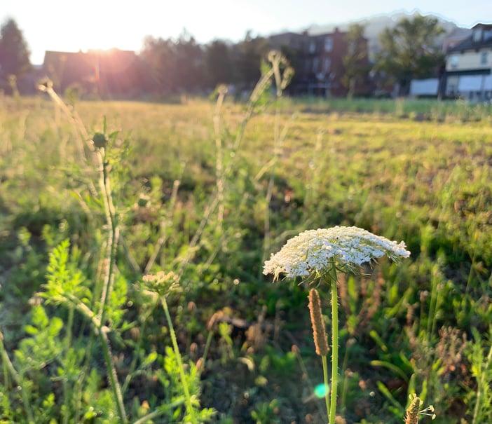 Vacant Land Lots