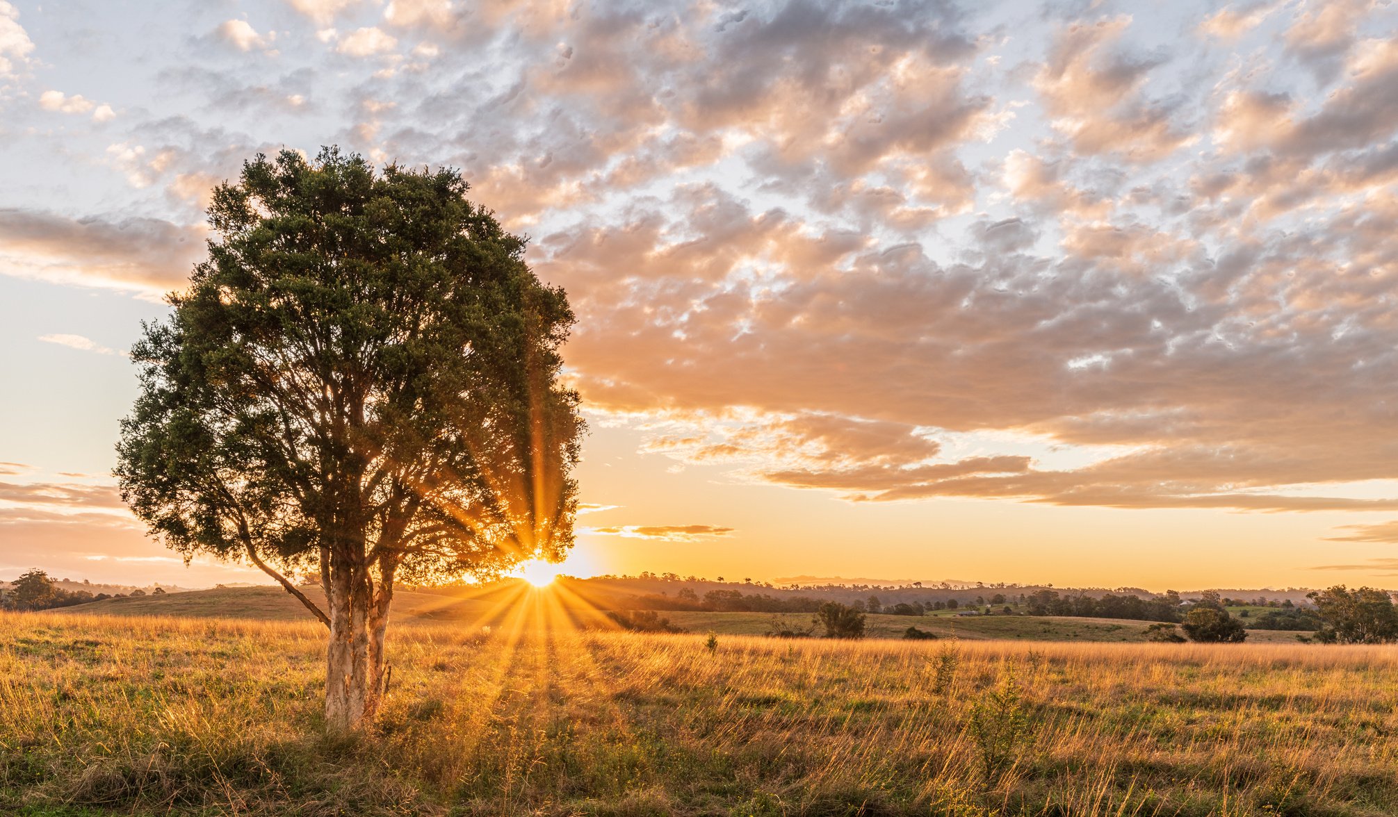 Country sunset