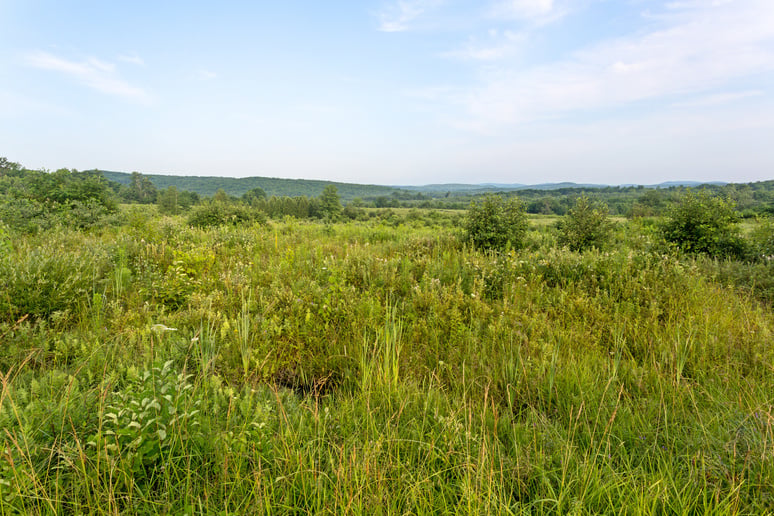 Vacant land in New England