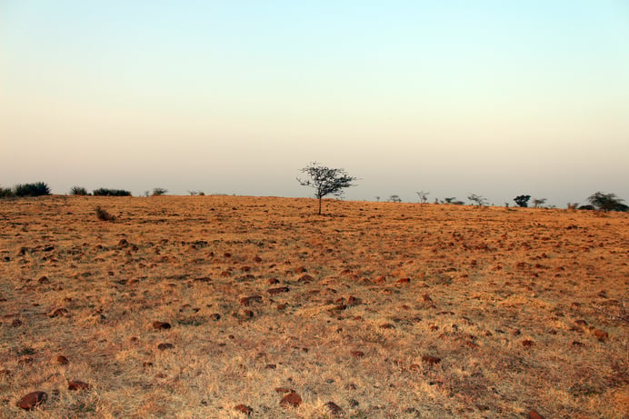 Barren land