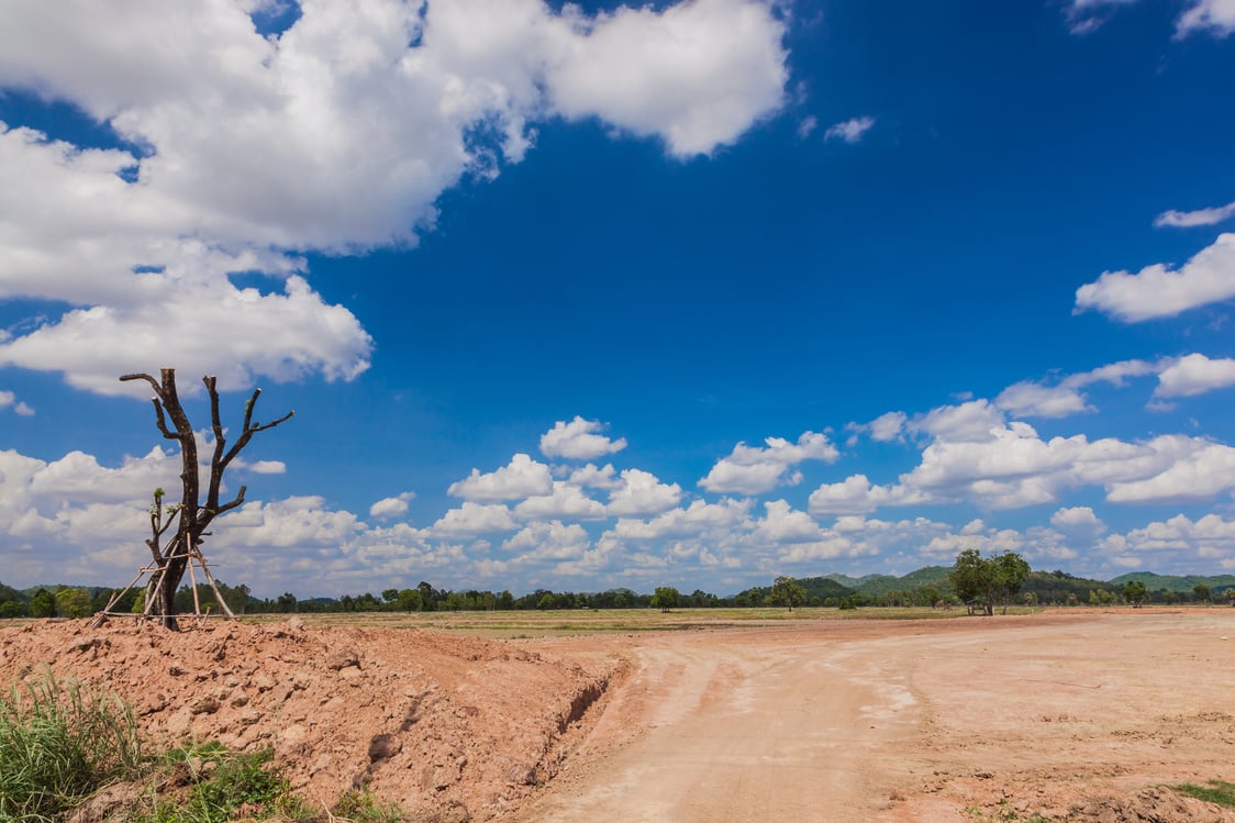 Vacant land